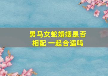 男马女蛇婚姻是否相配 一起合适吗